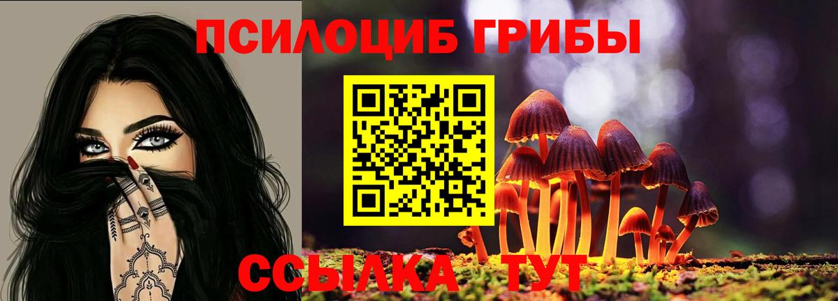 Псилоцибиновые грибы мухоморы  как найти наркотики  Псилоцибиновые грибы мухоморы  Коркино  Вход с VPN 